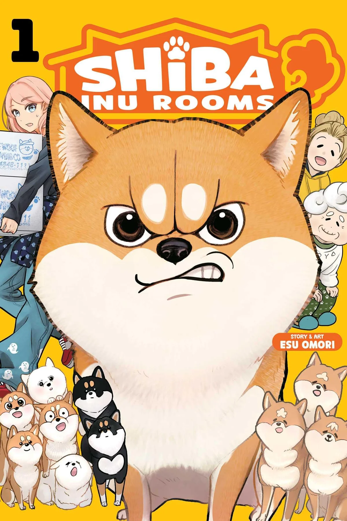 Shiba Inu Rooms