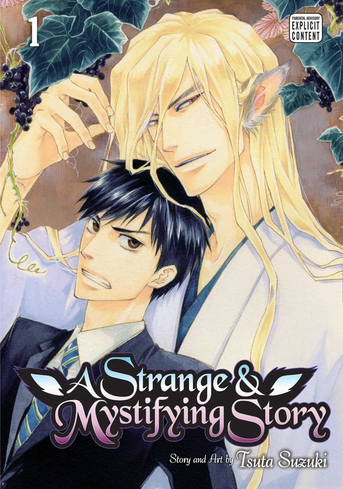 A Strange & Mystifying Story